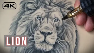 Lion Tattoo Tutorial - Realistic Portrait