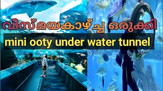 ഈ പാർക്കിലെ അത്ഭുങ്ങൾ|Mini ooty under water tunnel |Mini ooty malappuram|mistyland malappuram|kerala