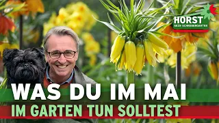Maitipps Teil 1 | Düngen, Zwiebelblumen, Kaiserkronen gegen Wühlmäuse | Horst sein Schrebergarten