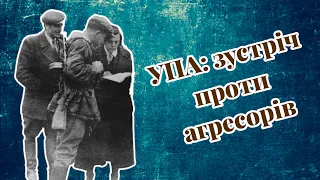 Історія УПА. Як українці об'єдналися з військовими інших націй проти агресорів Другої світової війни