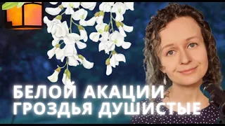Белой акации гроздья душистые - Анастасия Людви (Cover на песню Людмилы Сенчиной)