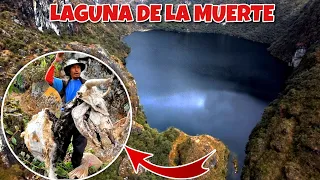 El CAMINO MÁS PELIGROSO del PERÚ dónde MUEREN muchos animales | Ricran_Jauja