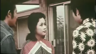 Vilma Santos - With Meng Fei  Twin Fist of Justice 1974