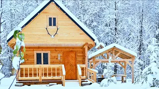 ONE Year a Man Builds the Log Cabin of his Dreams Alone in the Forest, Start to Finish