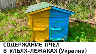 СОДЕРЖАНИЕ  ПЧЁЛ  В  УЛЬЯХ-ЛЕЖАКАХ (УКРАИНА)