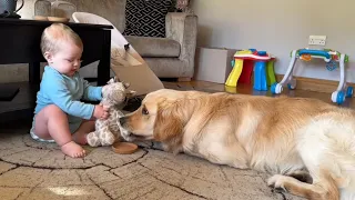 Adorable Baby Boy Shares His Toys With Golden Retriever Puppy!! (Cutest Ever!!)