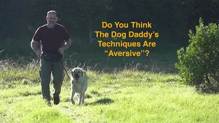 Dog Daddy vs Zak! DogTraining #puppytraining