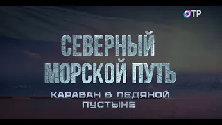 Караван в ледяной пустыне. Почему не все корабли могут проложить себе путь самостоятельно?