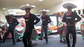 JARABE TAPATIO.wmv