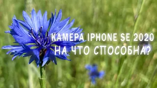 тест камеры iphone se 2020