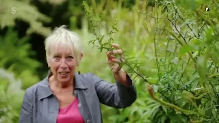 Gardening with Carol Klein 2021 - Series 3 Episode 1