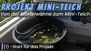 Von der Mörtelwanne zum Mini-Teich! -Der Start (1) #aquaristik #outdoor #balkonteich #minipond