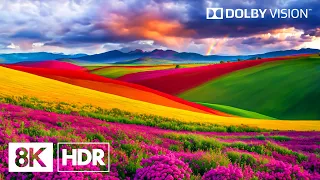 The Planet's Allure By 8K HDR | Dolby Vision™
