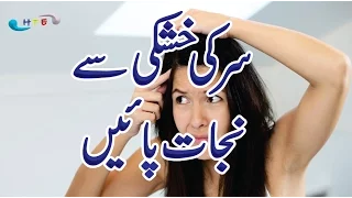 sir ki khushki dur karne ka tarika| hair dandruff solutition at home in hindi/urdu 2020 on youtube