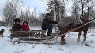 КУПИЛ ХУТОР в ЛЕСУ на КРАЮ БОЛОТА. НИКТО НЕ ОЖИДАЛ ТАКОЙ КРАСОТЫ!!! №179.