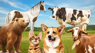 Herbivores - Elephant, Sheep, Horse, Cow, Goat - Animal Sounds