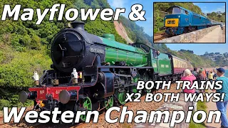 61306 Mayflower & D1015 Western Champion -  Both Trains - Both Ways - Teignmouth - 01/06/24