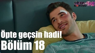 Çilek Kokusu 18. Bölüm - Öpte Geçsin Hadi!