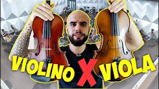 DIFERENÇAS entre VIOLINO e VIOLA