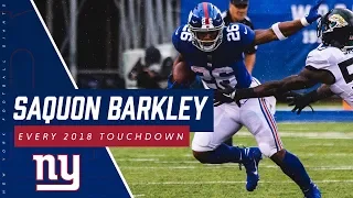 Saquon Barkley Highlights | Every Touchdown From His Rookie Year