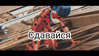 Сдавайся..//Леди Баг и Кот Нуар