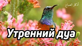 🔊 Дуа утро أذكار الصباح защитить вас вес день! Утренний дуа каждое утро!