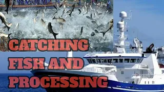 Amazing Automatic Lines,#Fishing Catching and Processing Fish Right on Ship, Big Catch in The Sea