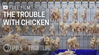 The Trouble with Chicken (full documentary) | FRONTLINE