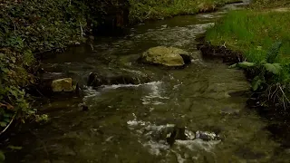 River Sounds in the Tbilisi Botanical Garden LXXXII | Georgia