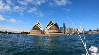 You Won't Believe What We Found Today. Fishing SOW And PIGS. (Sydney Harbour)