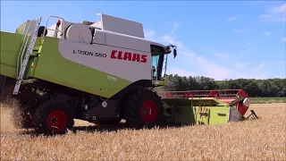 Erste Gersten Ernte im  Juni 2020 mit Claas Lexion 550!