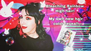 Bleaching Rainbow High doll’s hair and more!