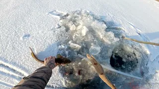 Рыбалка по первому льду 2023