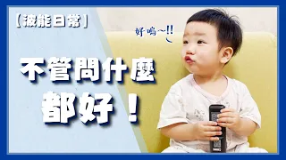 【波能日常#27】不管問什麼，都說好！(1Y4M25D)