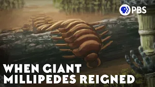 When Giant Millipedes Reigned