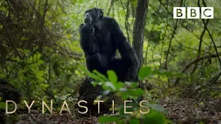 DYNASTIES | Exclusive preview from the first episode | BBC