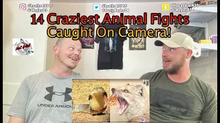 14 CRAZIEST ANIMALS CAUGHT ON CAMERA!!! | REACTION!!!