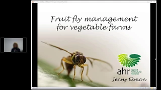Managing Fruit Fly in Vegetable Crops with Dr Jenny Ekman