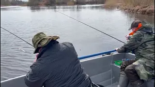 🐟аренда лодок .База Кобона. Ладога. Новоладожский канал. Плотва. 🐟