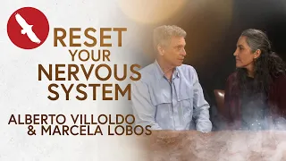 RESET Your Nervous System