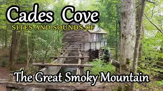 A Drive through Cades Cove, Sites and sounds of Nature in the Great Smoky Mountains National Park.