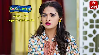 Rangula Ratnam Latest Promo | Episode No 695 | 5th February 2024 | ETV Telugu