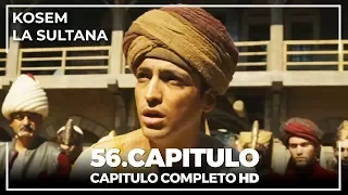 Kosem La Sultana | Capítulo 56