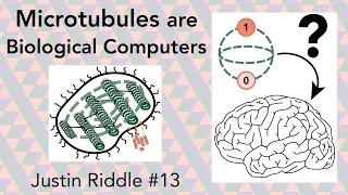 #13 - Microtubules are Biological Computers: searching for the mind of a cell