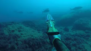 A fruitful winter day spearfishing in Israel