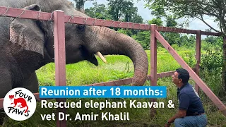 Elephant Kaavan reunited with rescuers, 18 months later | #FreeKaavan | FOUR PAWS