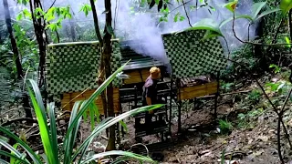 Camping Hujan Deras, Membangun Shelter Sederhana di Hutan Belantara, Tepi Jurang  Sendirian