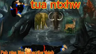 dab neeg 2 txiv tub raws tua ntxhw muaj kev txaus ntshai