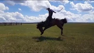 Мастер класс по обучению диких лошадей от монгольской группы каскадеров #ТЭНГЭРИИНЧОНО. 1