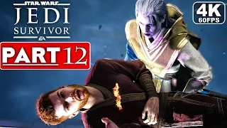 STAR WARS JEDI SURVIVOR Gameplay Walkthrough Part 12 [4K 60FPS PC ULTRA] - No Commentary (FULL GAME)